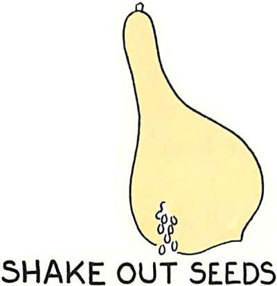 Shake out seeds.