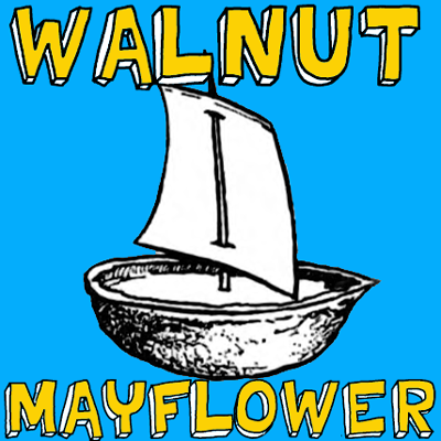 How to Make a Mayflower Walnut Boat