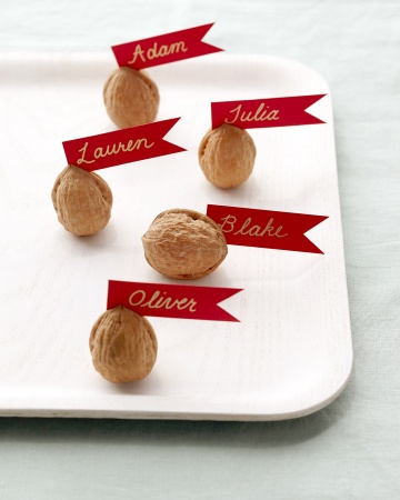 Nutshell Place Cards