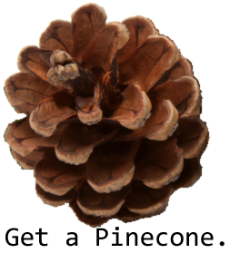 Get a pinecone.