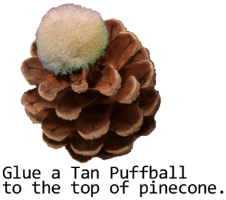 Glue a tan puffball to the top of pinecone.