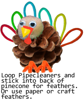 Loop pipe cleaners and stick into back of pinecone for feathers.