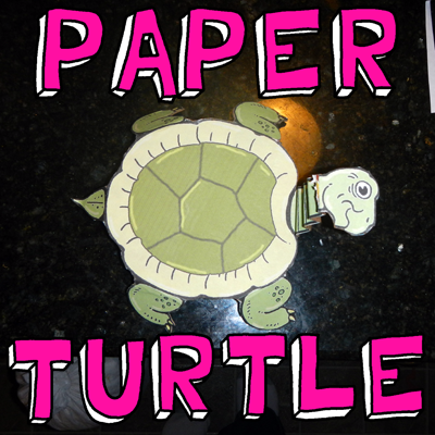 Make a Turtle Paper Toy Model