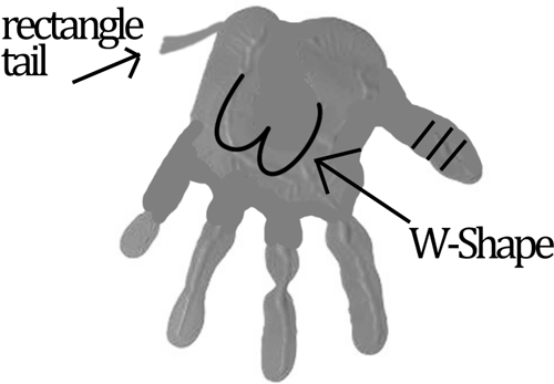 elephant-step2